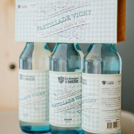 Apartamento Hypercentre Lumineux Wifi Marie Celine *